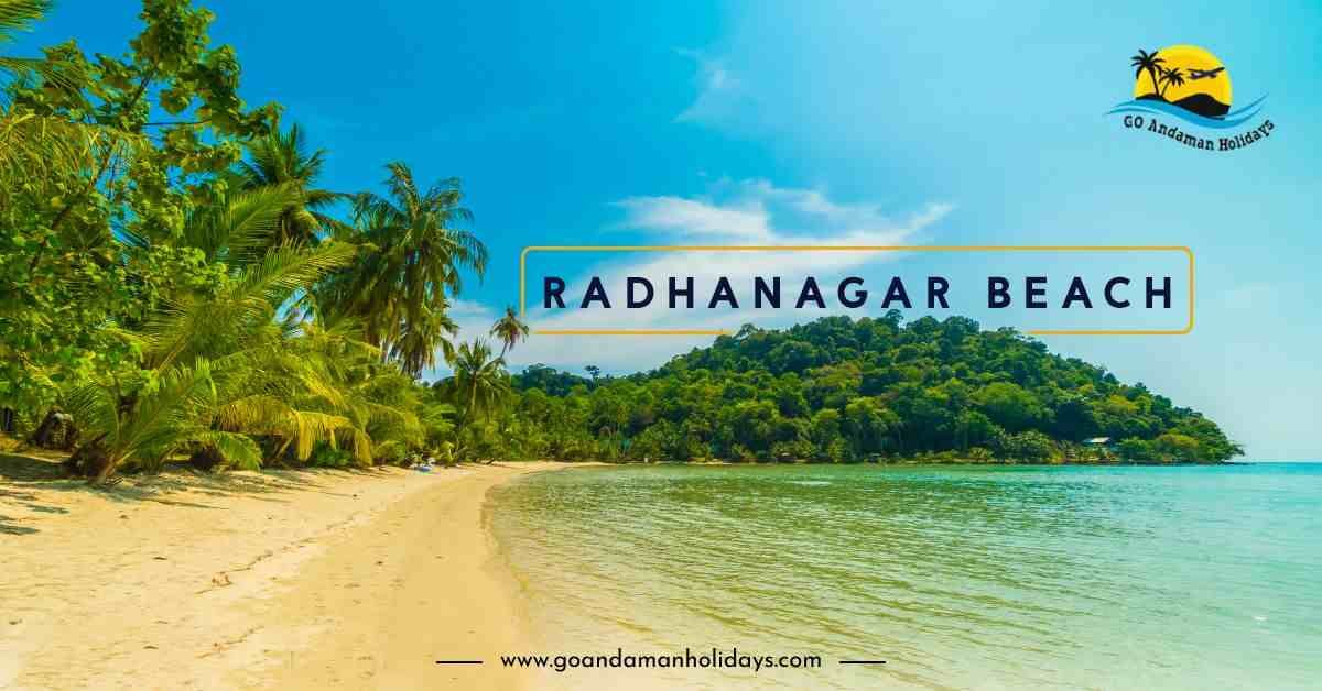 Things to Do at Radhanagar Beach